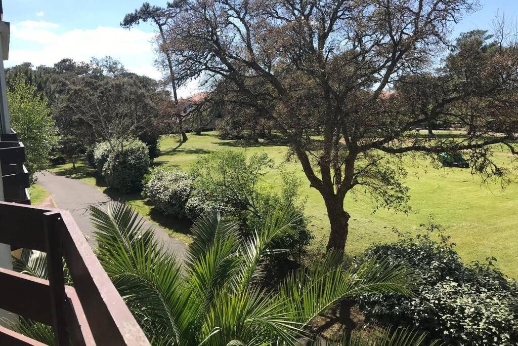 Labenne Ocean - Joli Appt Avec Terrasse -T2 300M Plage Bagian luar foto